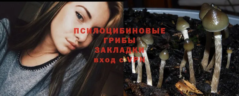 Галлюциногенные грибы MAGIC MUSHROOMS  Урюпинск 